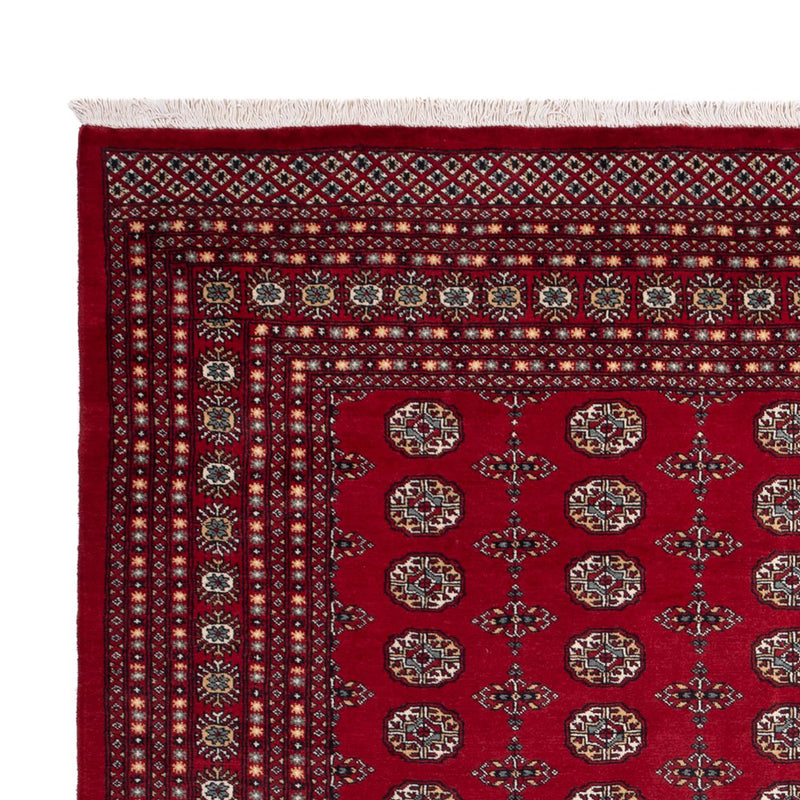 Bukhara Tapete 309x246cm - Tapete Oriental