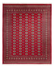 Bukhara Tapete 305x244cm - Tapete Oriental