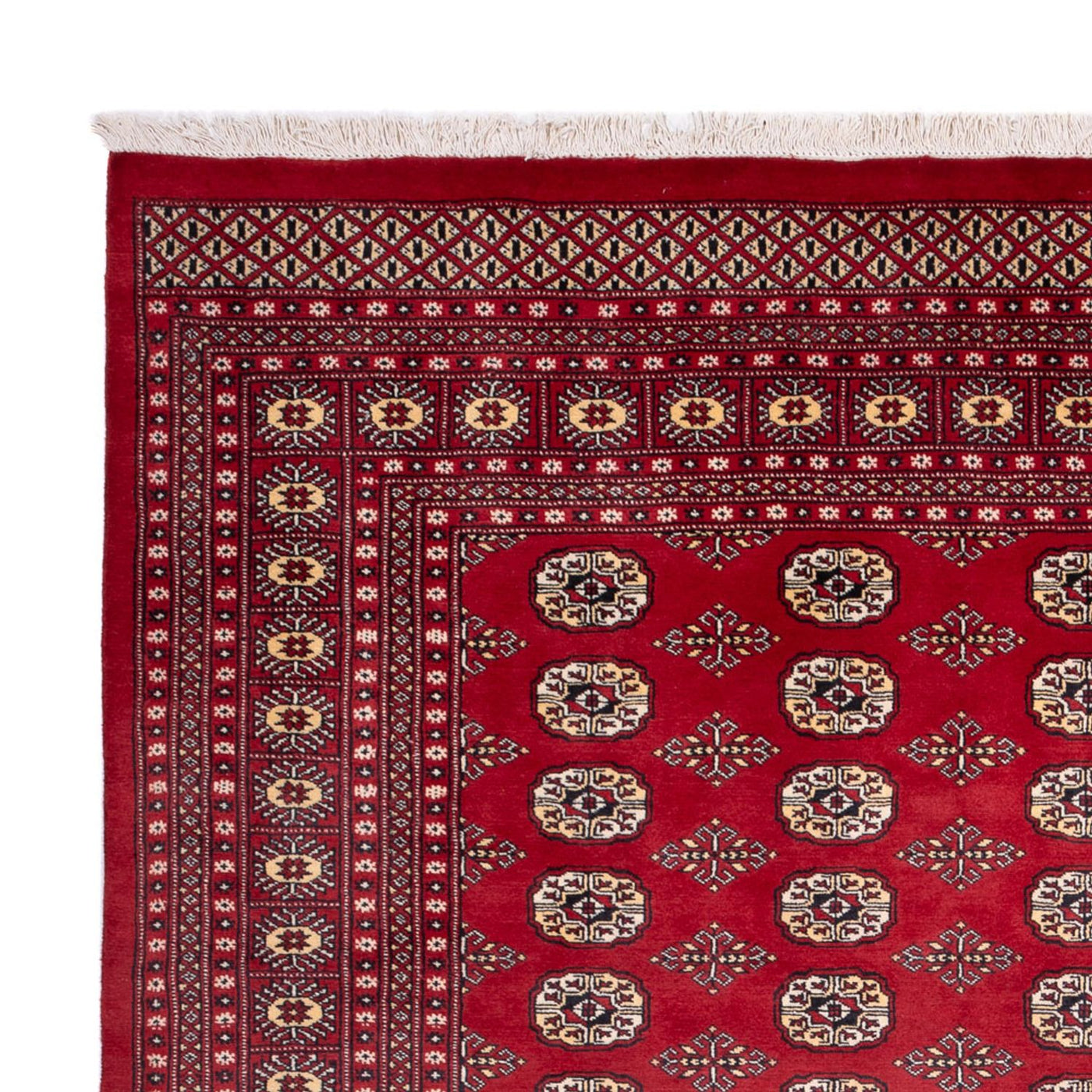 Bukhara Tapete 305x244cm - Tapete Oriental