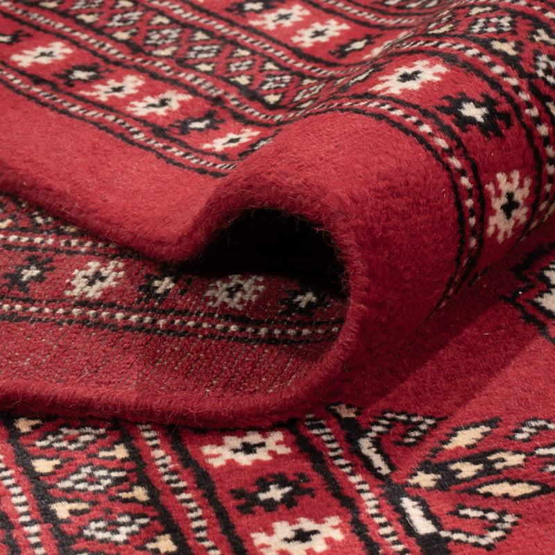 Bukhara Tapete 305x244cm - Tapete Oriental