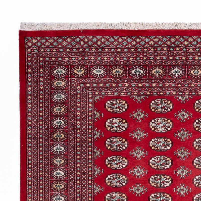 Bukhara Tapete 250x296cm - Tapete Oriental