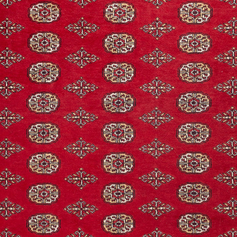 Bukhara Tapete 252x305cm - Tapete Oriental