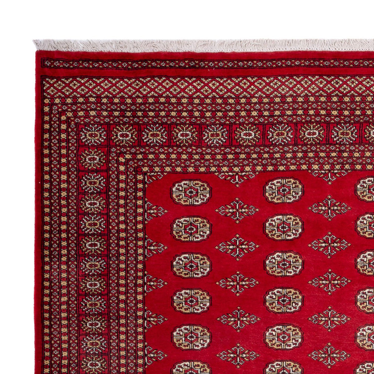 Bukhara Tapete 252x305cm - Tapete Oriental