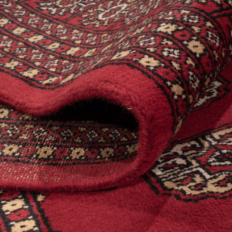 Bukhara Tapete 252x305cm - Tapete Oriental