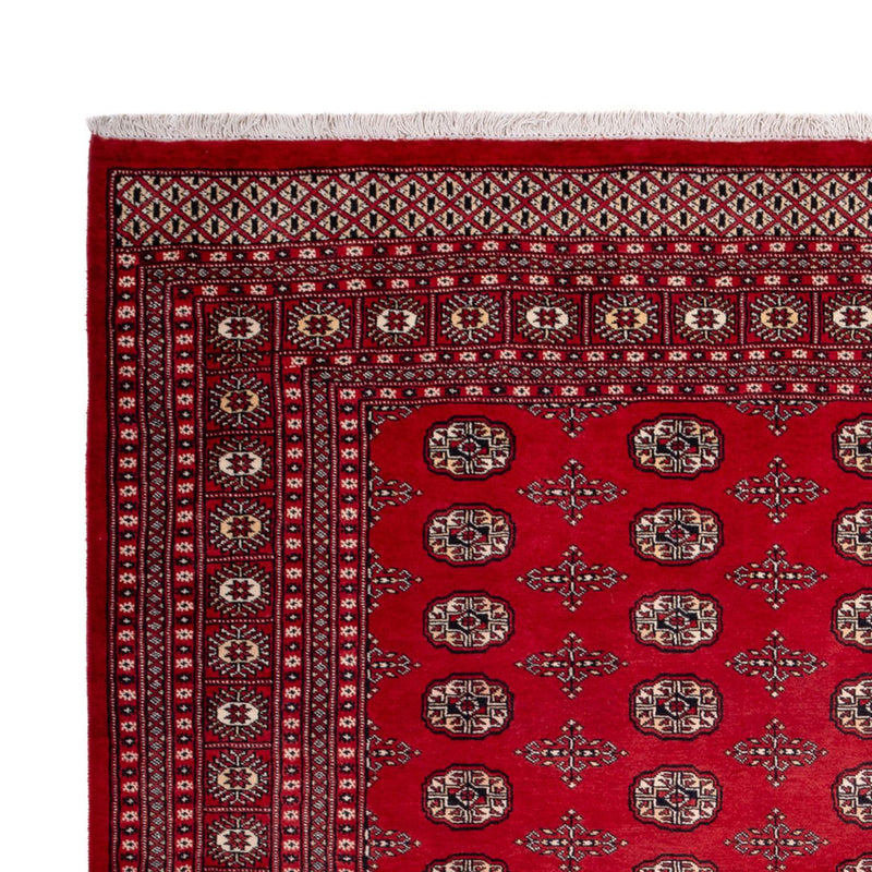 Bukhara Tapete 319x250cm - Tapete Oriental