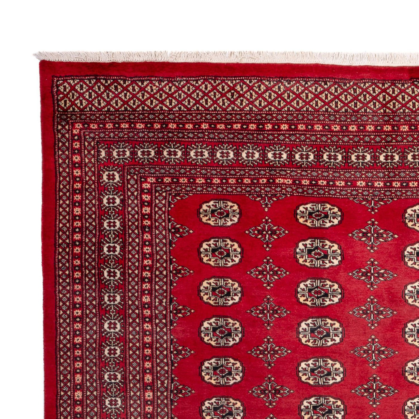 Bukhara Tapete 309x248cm - Tapete Oriental