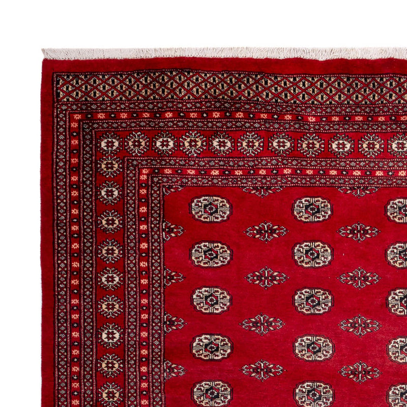 Bukhara Tapete 323x248cm - Tapete Oriental