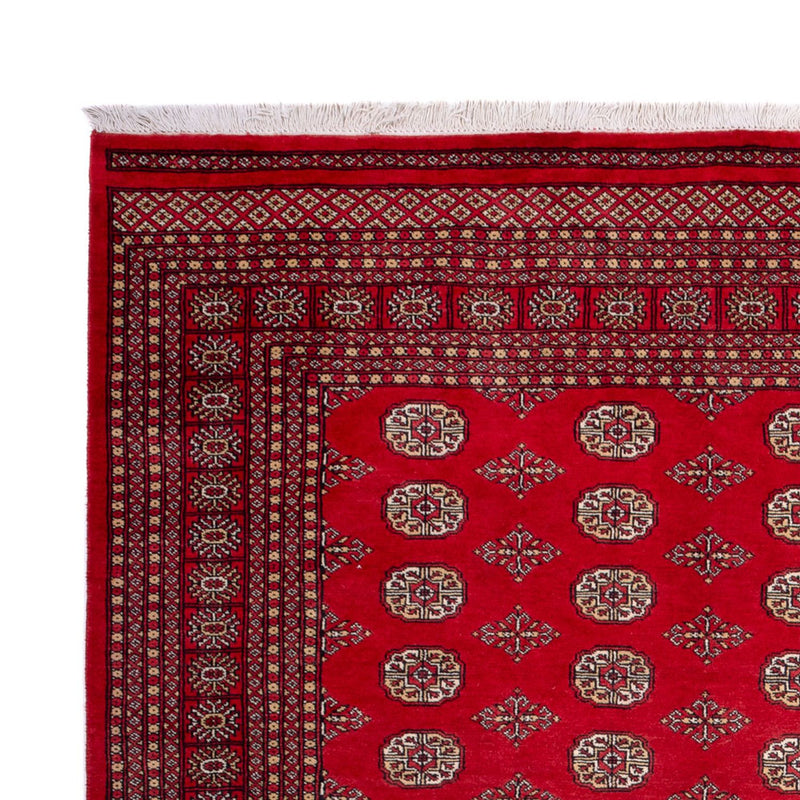 Bukhara Tapete 321x247cm - Tapete Oriental