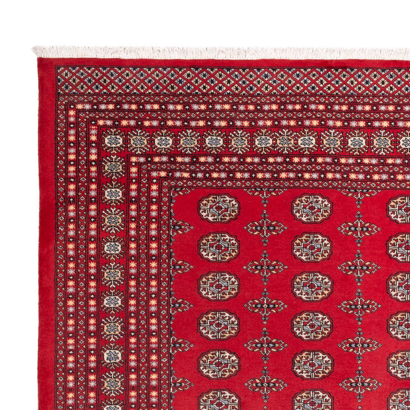 Bukhara Tapete 310x250cm - Tapete Oriental