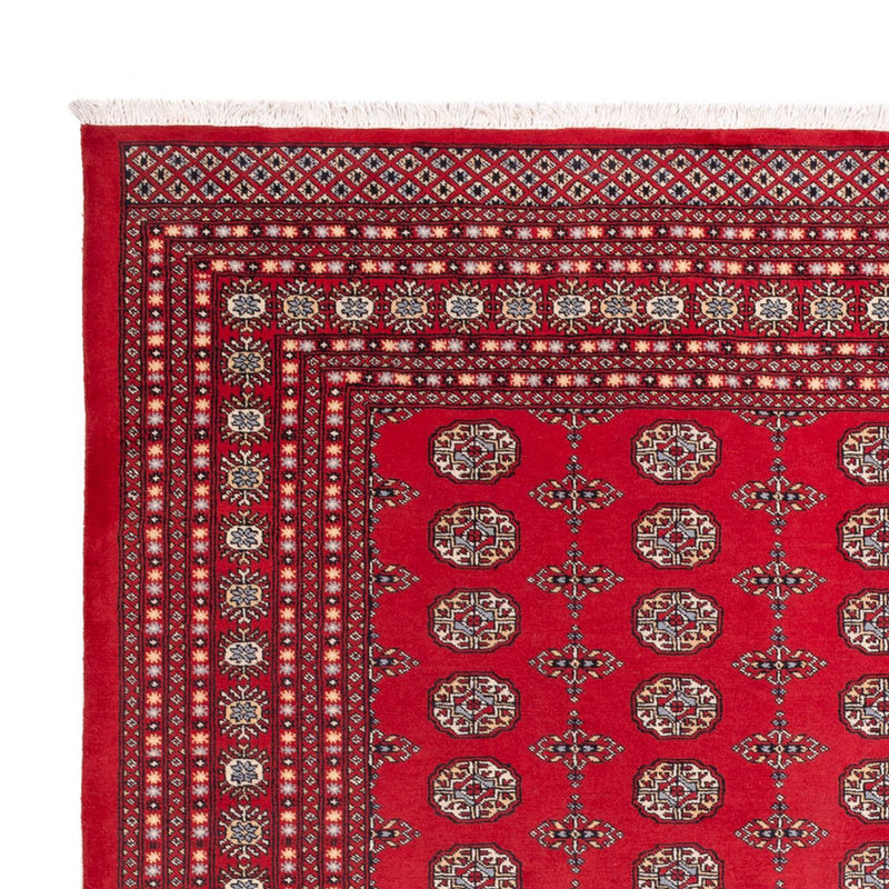 Bukhara Tapete 310x250cm - Tapete Oriental