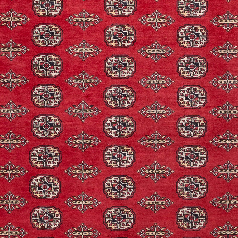 Bukhara Tapete 315x248cm - Tapete Oriental