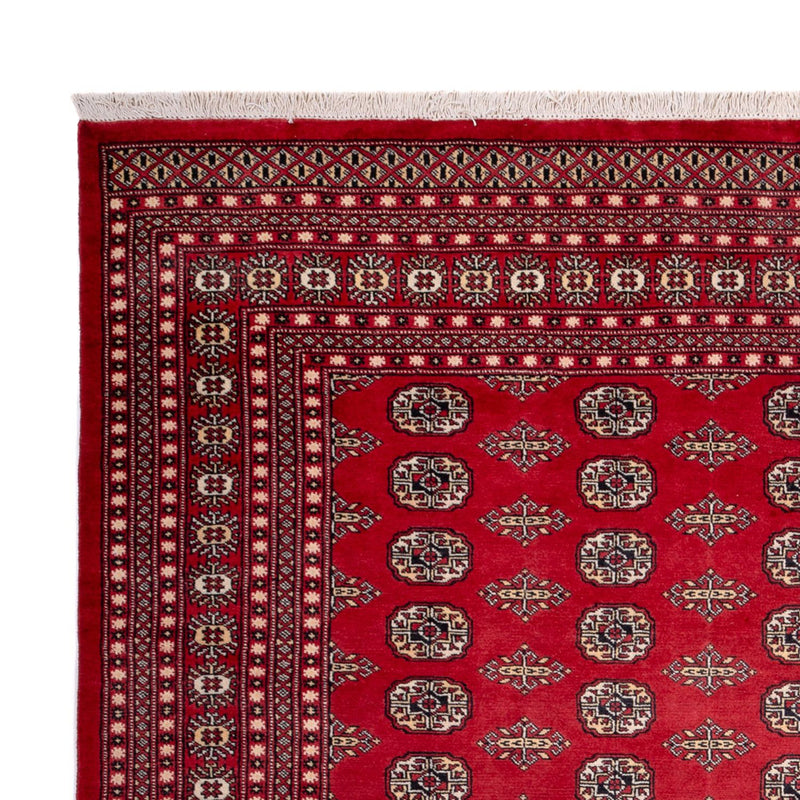Bukhara Tapete 315x248cm - Tapete Oriental