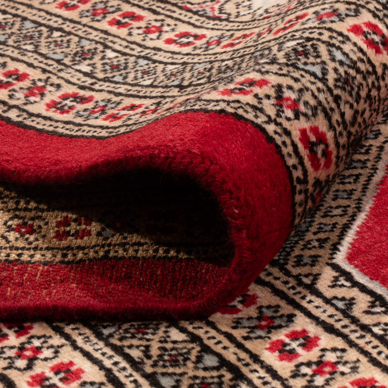 Bukhara Tapete 287x220cm - Tapete Oriental