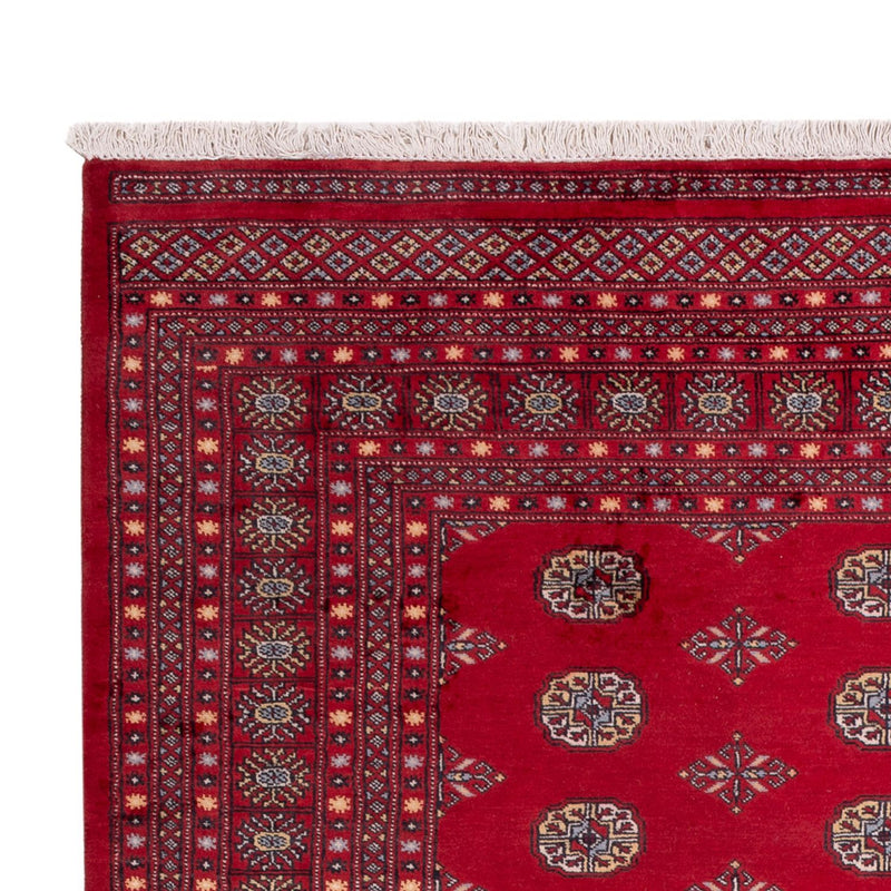 Bukhara Tapete 307x202cm - Tapete Oriental
