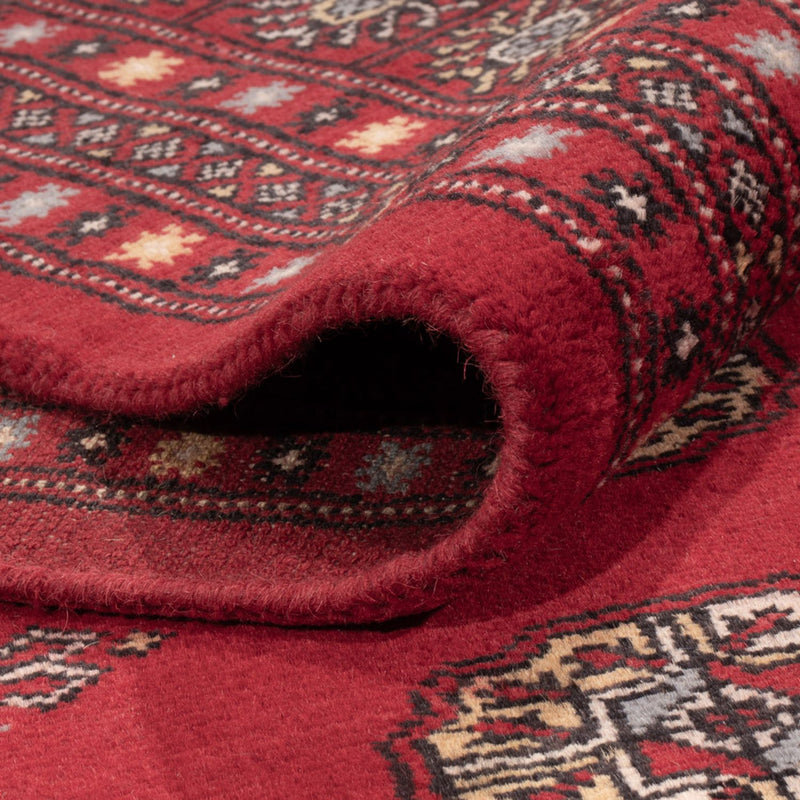 Bukhara Tapete 307x202cm - Tapete Oriental