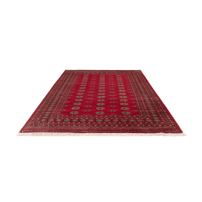 Bukhara Tapete 307x202cm - Tapete Oriental