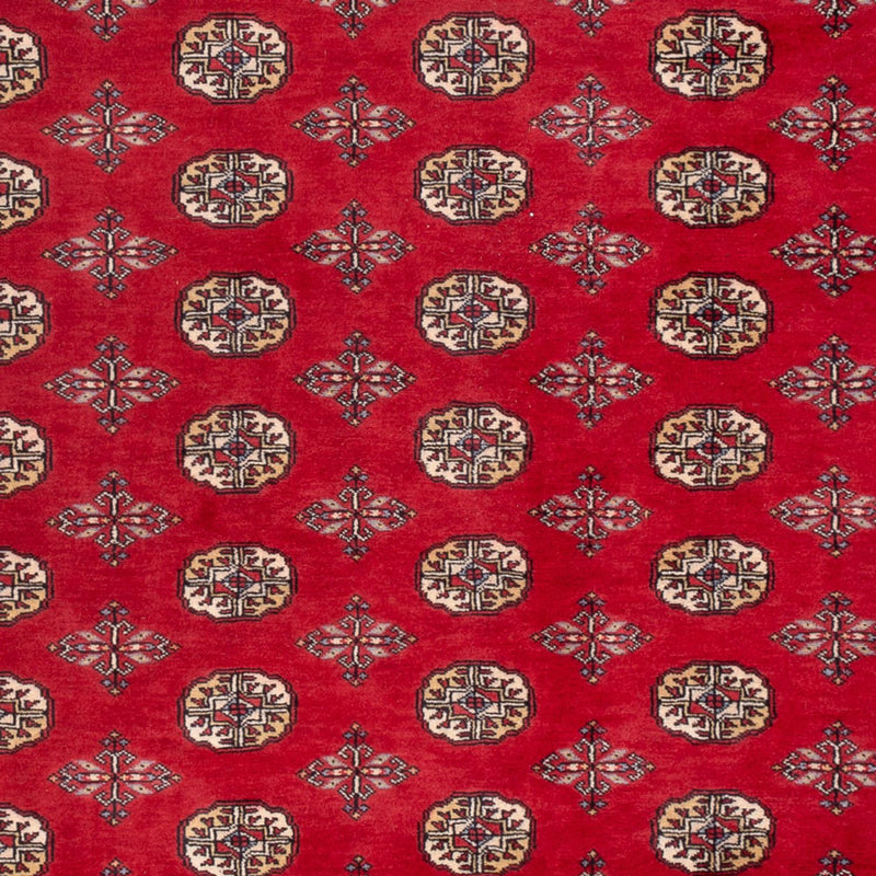 Bukhara Tapete 298x198cm - Tapete Oriental