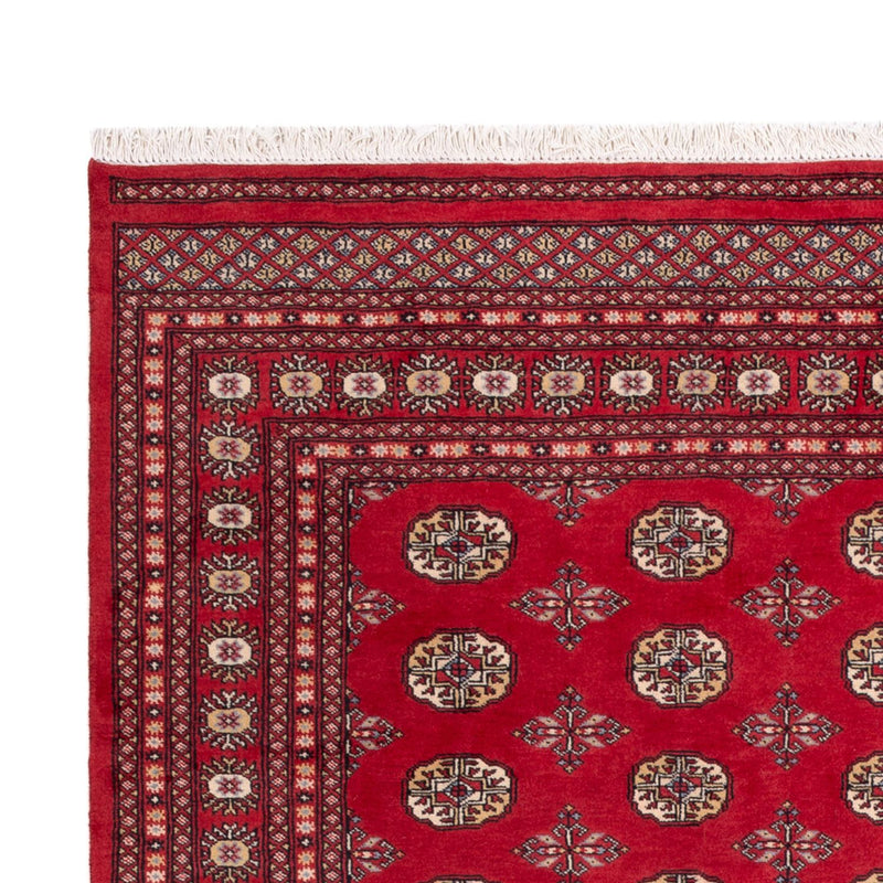 Bukhara Tapete 298x198cm - Tapete Oriental