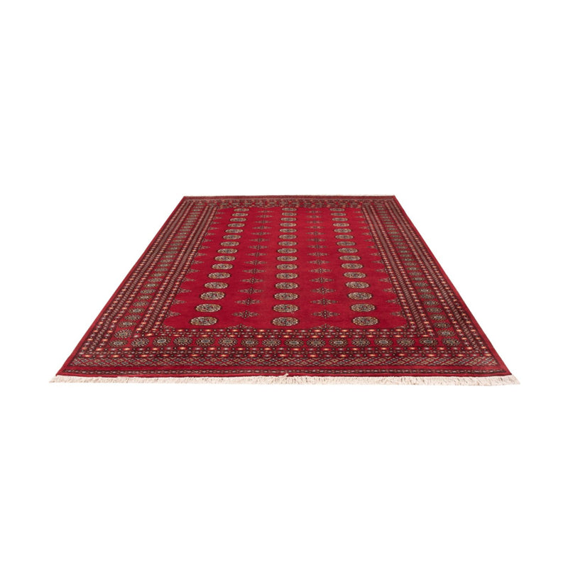 Bukhara Tapete 302x202cm - Tapete Oriental