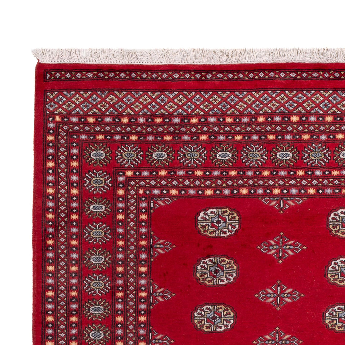 Bukhara Tapete 303x205cm - Tapete Oriental