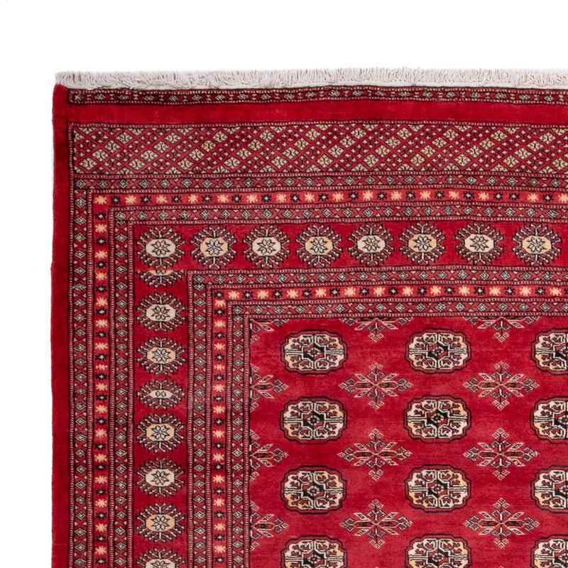 Bukhara Tapete 220x297cm - Tapete Oriental