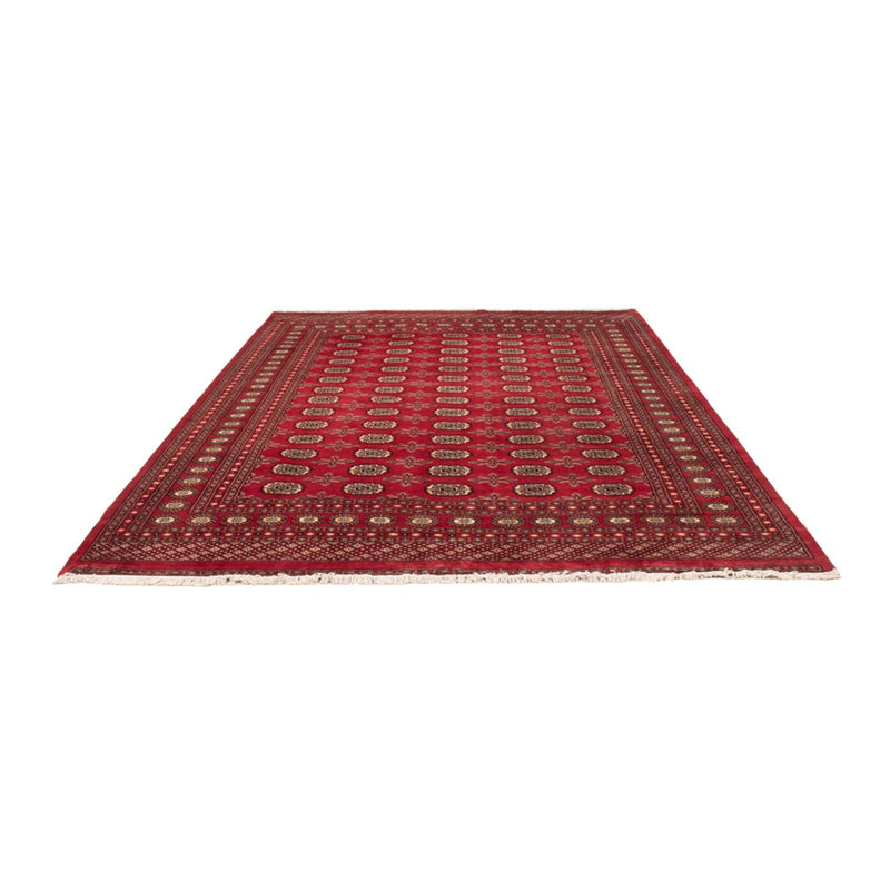 Bukhara Tapete 220x297cm - Tapete Oriental