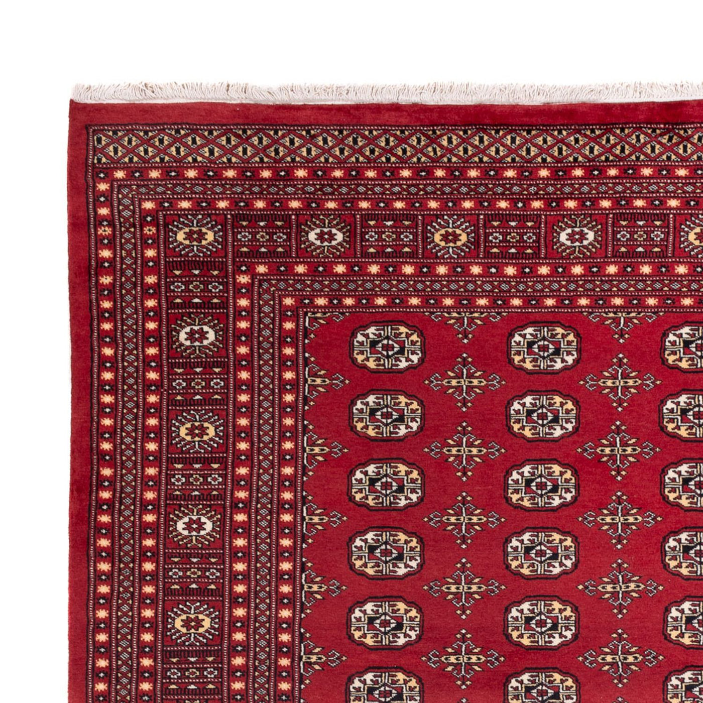 Bukhara Tapete 312x245cm - Tapete Oriental