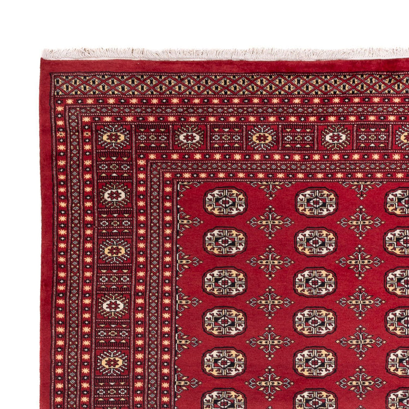 Bukhara Tapete 312x245cm - Tapete Oriental