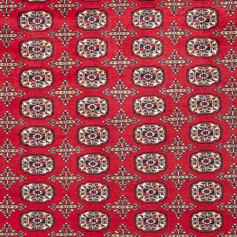 Bukhara Tapete 311x243cm - Tapete Oriental