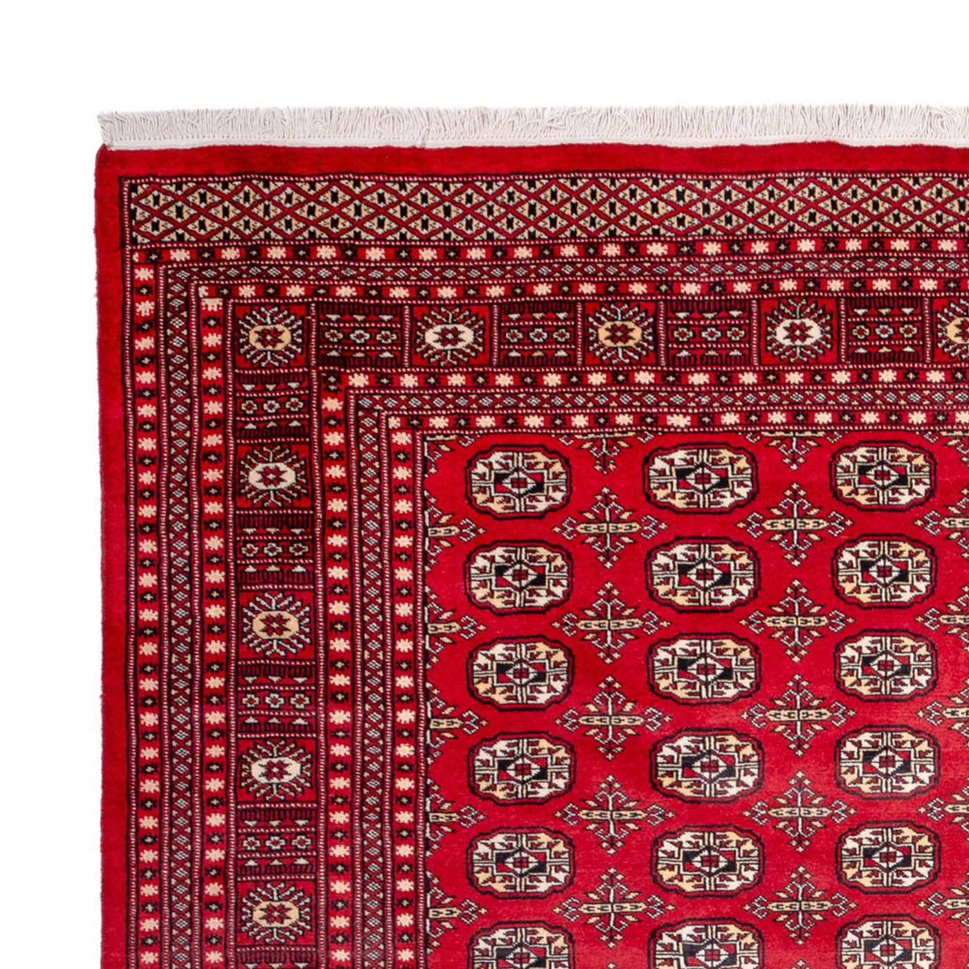 Bukhara Tapete 311x243cm - Tapete Oriental