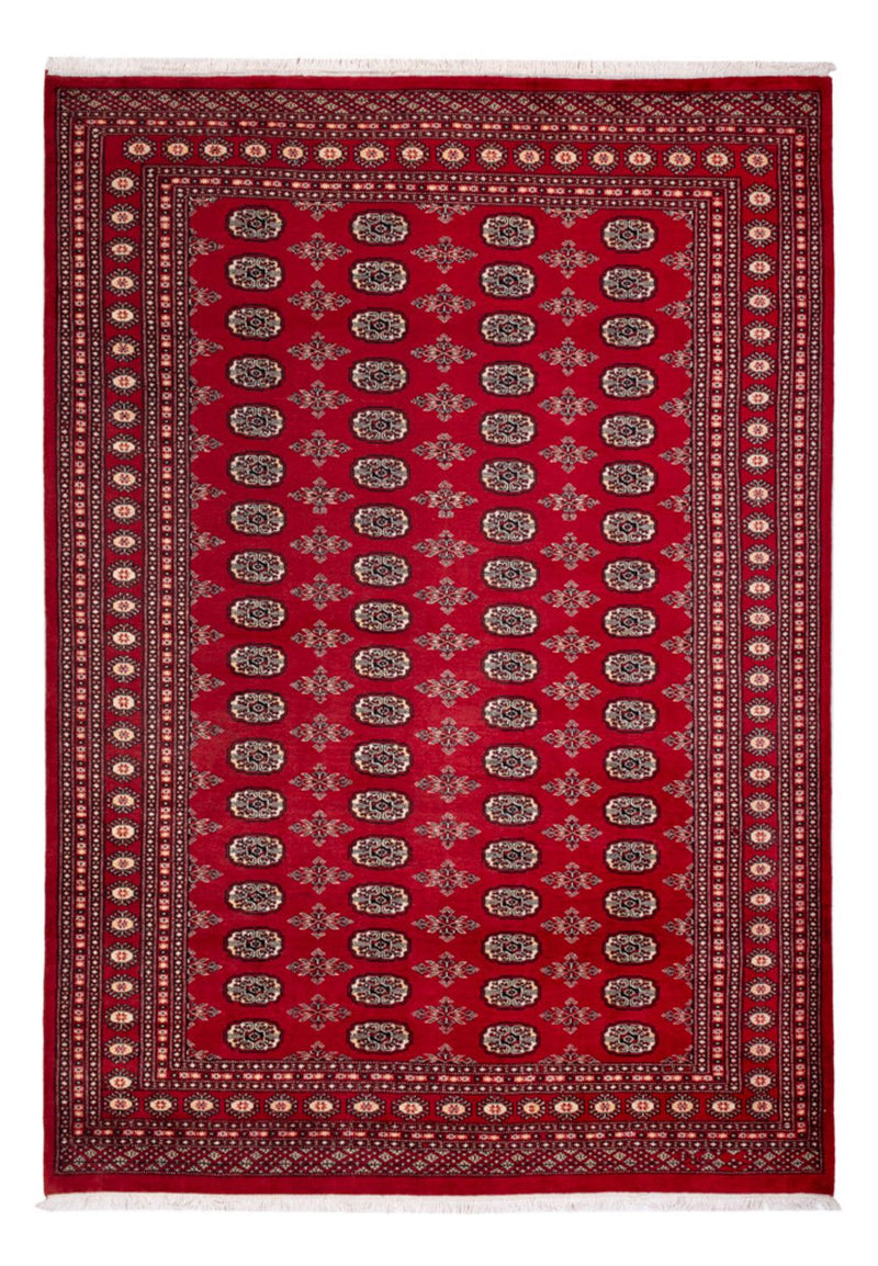 Bukhara Tapete 297x213cm - Tapete Oriental
