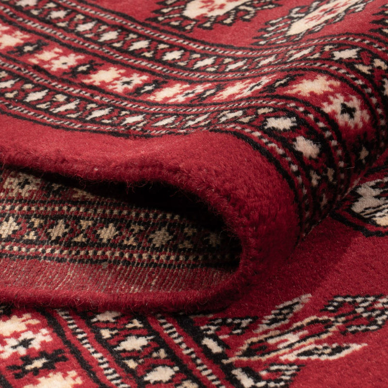 Bukhara Tapete 297x213cm - Tapete Oriental