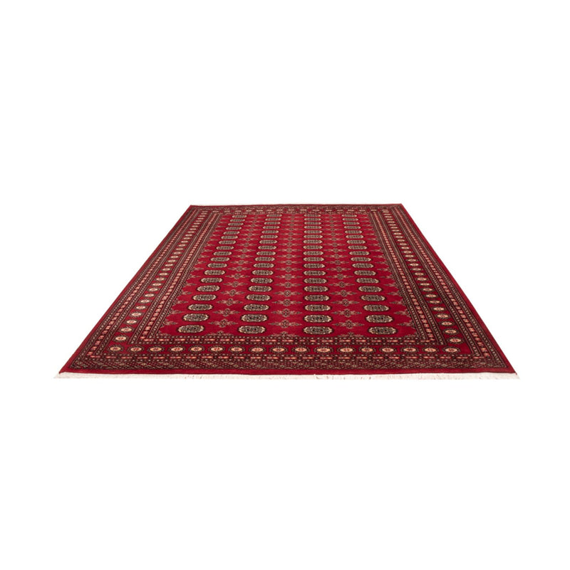 Bukhara Tapete 297x213cm - Tapete Oriental