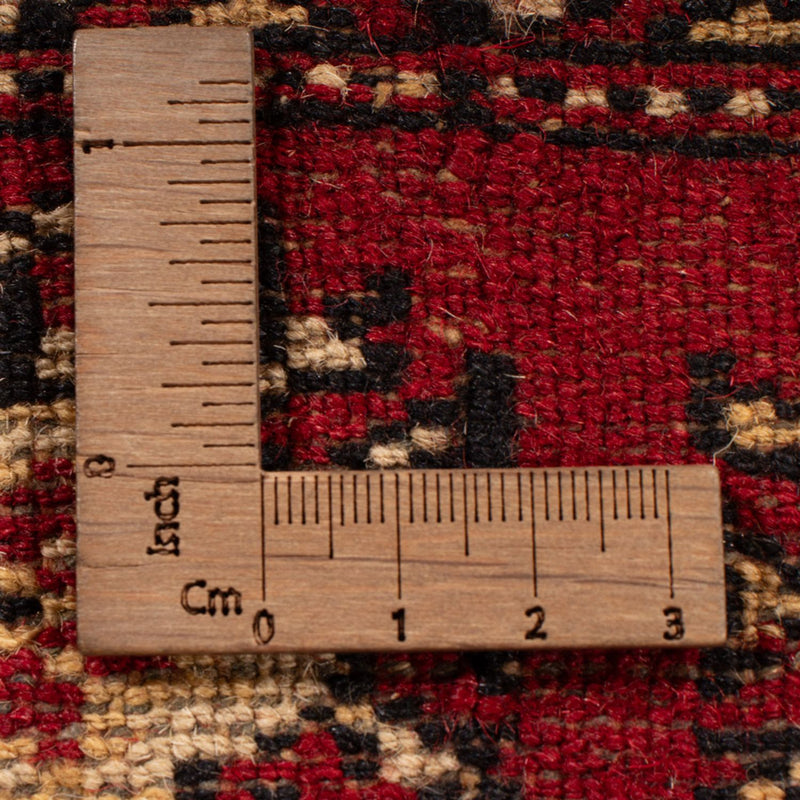 Bukhara Tapete 297x213cm - Tapete Oriental