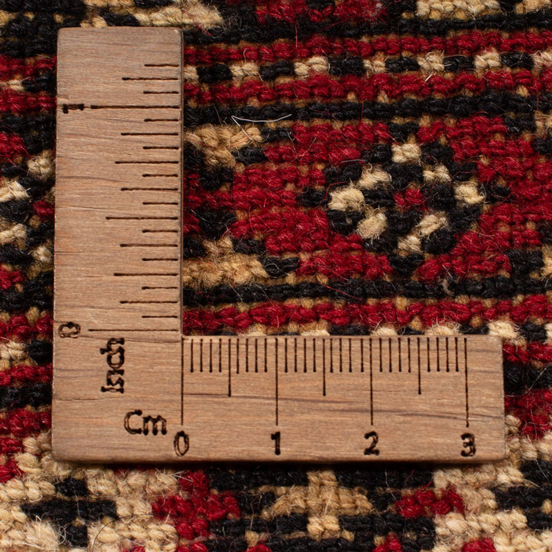 Bukhara Tapete 306x197cm - Tapete Oriental