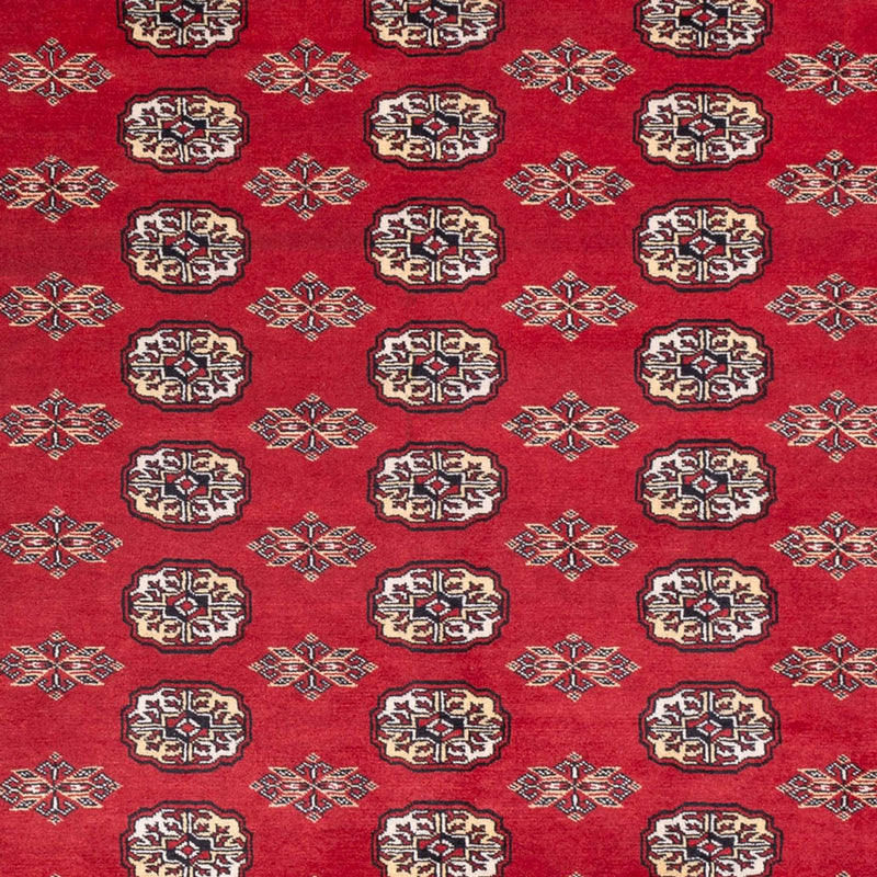 Bukhara Tapete 307x247cm - Tapete Oriental