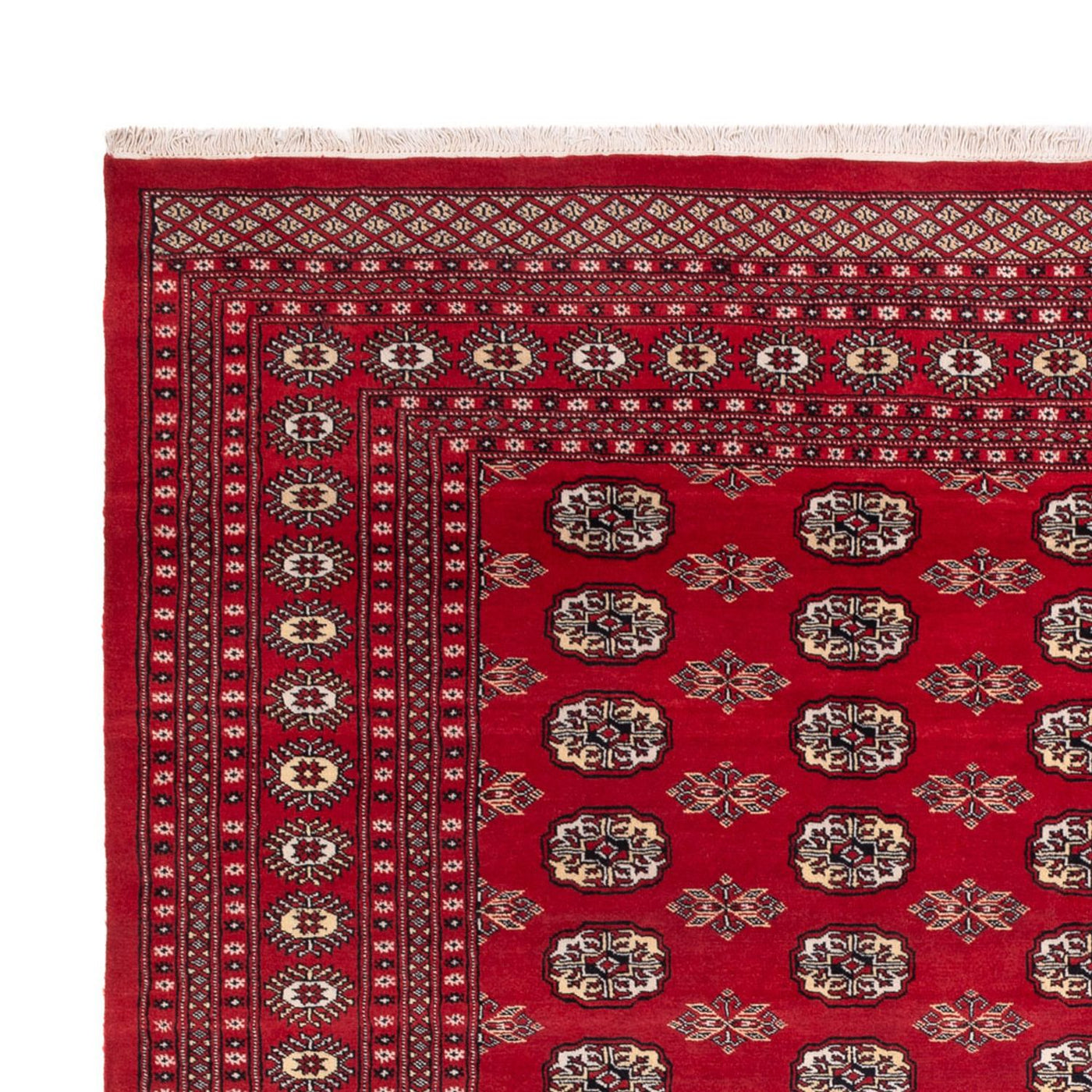 Bukhara Tapete 307x247cm - Tapete Oriental