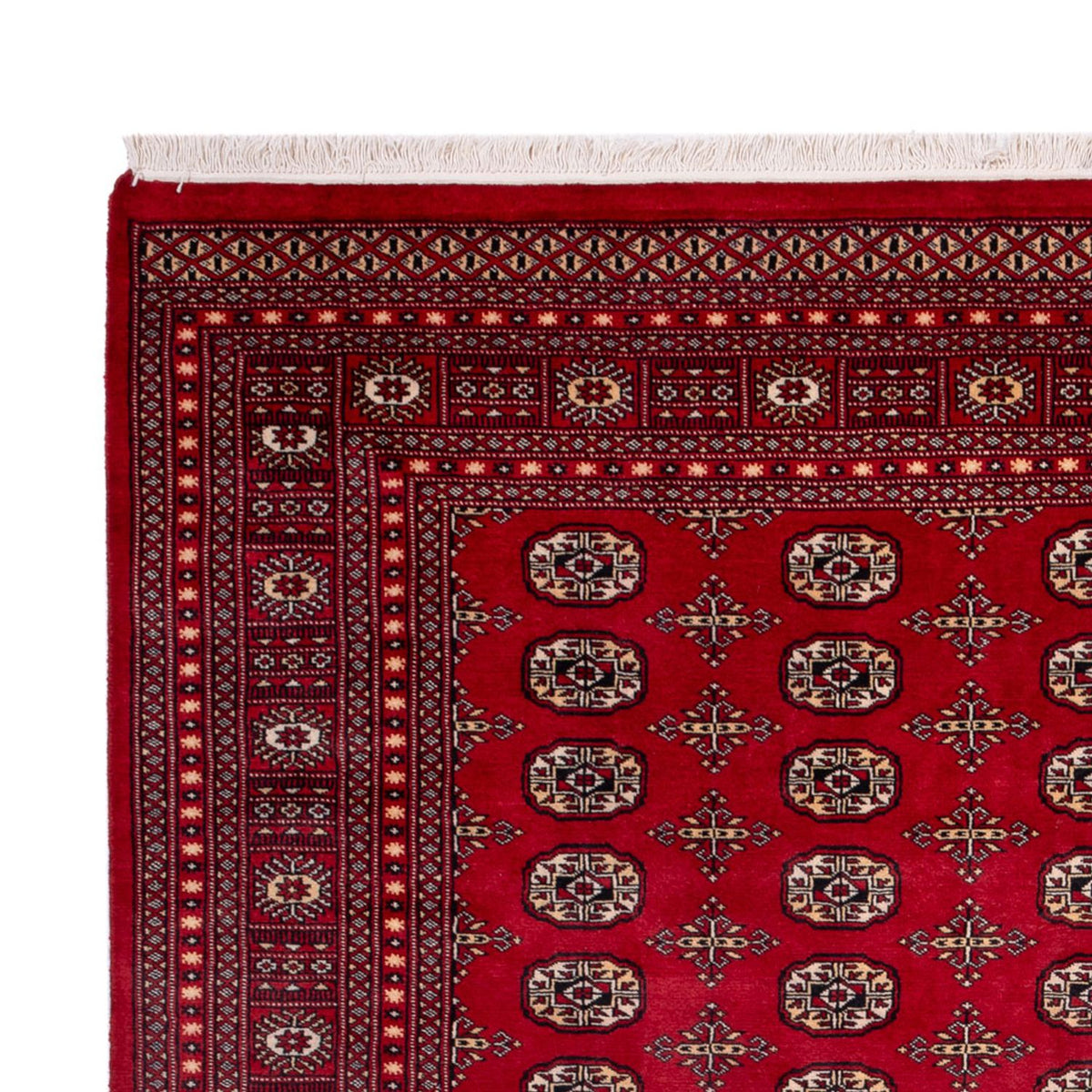 Bukhara Tapete 243x308cm - Tapete Oriental