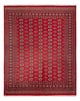 Bukhara Tapete 244x312cm - Tapete Oriental