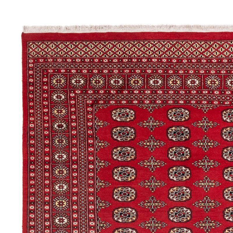 Bukhara Tapete 244x312cm - Tapete Oriental