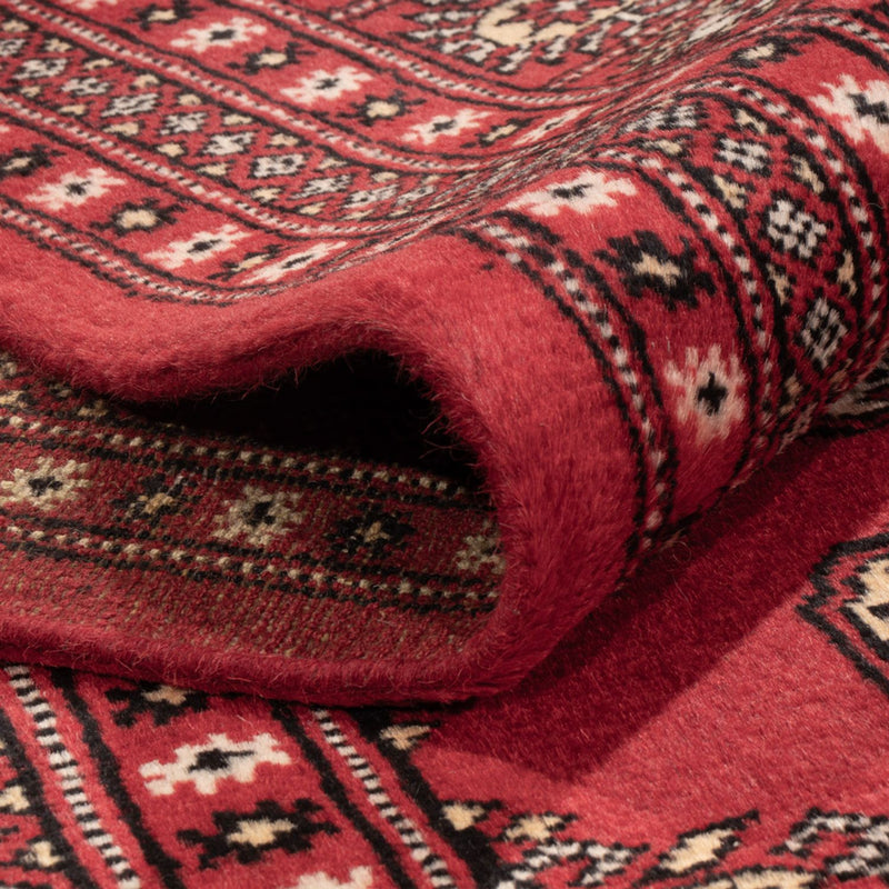 Bukhara Tapete 244x312cm - Tapete Oriental