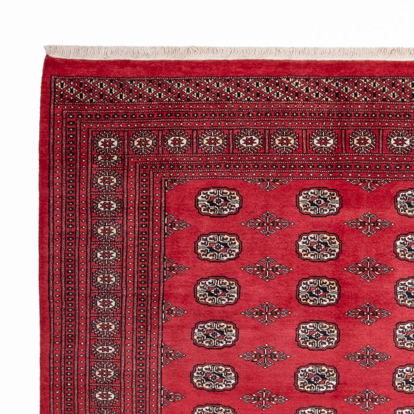 Bukhara Tapete 305x246cm - Tapete Oriental