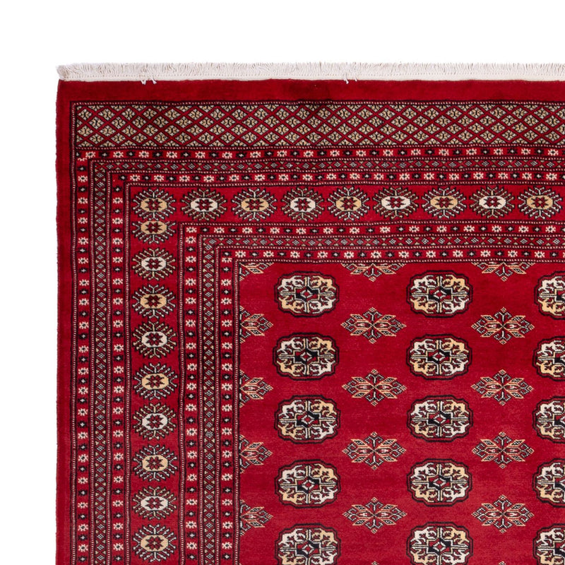 Bukhara Tapete 301x245cm - Tapete Oriental