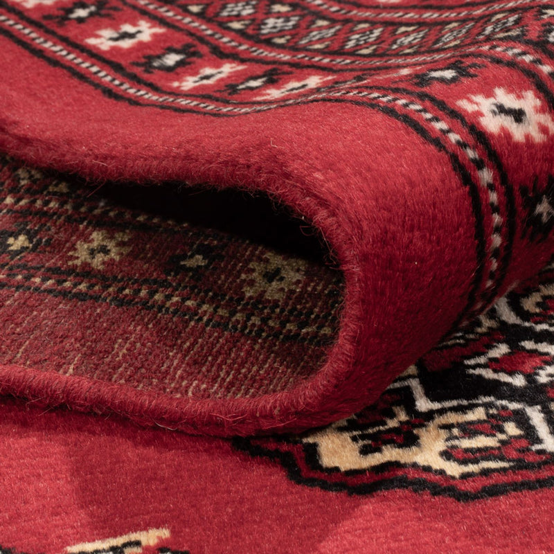 Bukhara Tapete 301x245cm - Tapete Oriental
