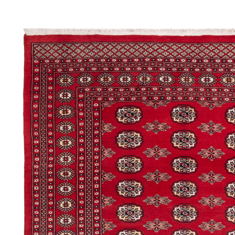 Bukhara Tapete 314x243cm - Tapete Oriental