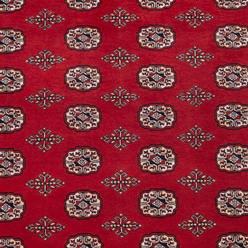 Bukhara Tapete 290x200cm - Tapete Oriental