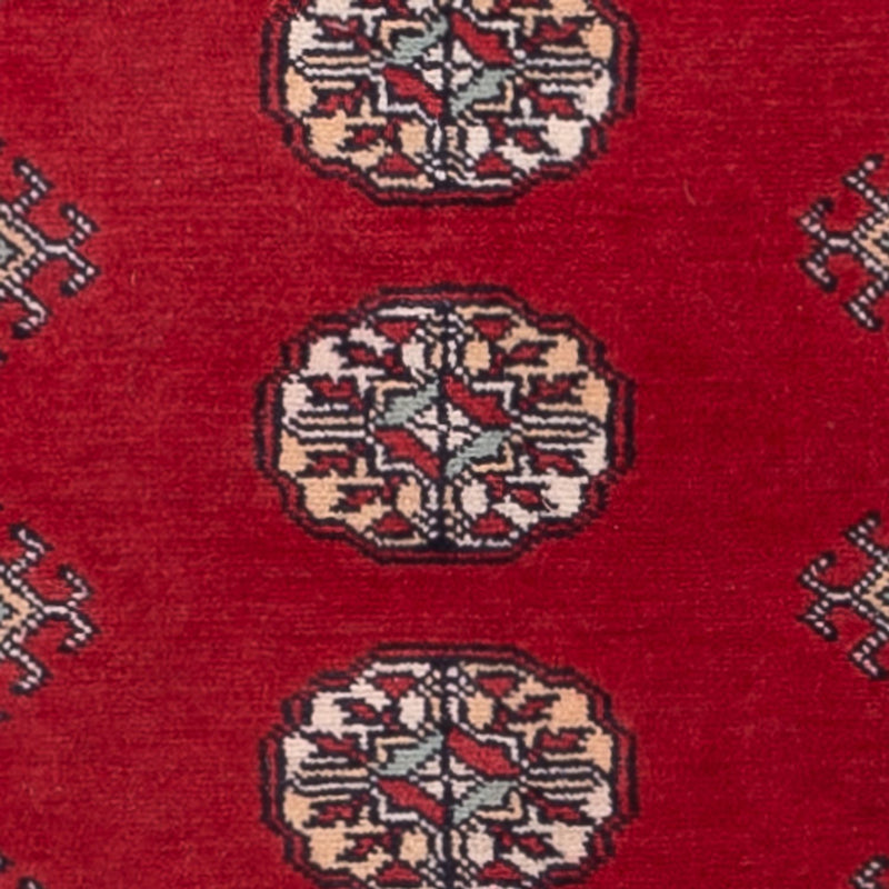 Tapete Paquistão 255x77cm - Tapete Oriental