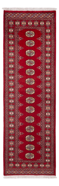 Tapete Paquistão 246x77cm - Tapete Oriental – product image