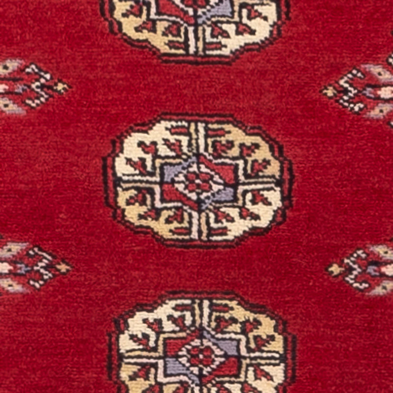 Tapete Paquistão 246x77cm - Tapete Oriental