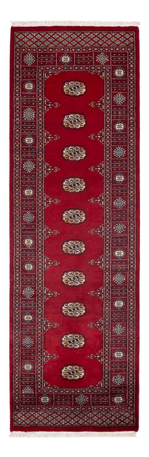 Tapete Paquistão 247x77cm - Tapete Oriental